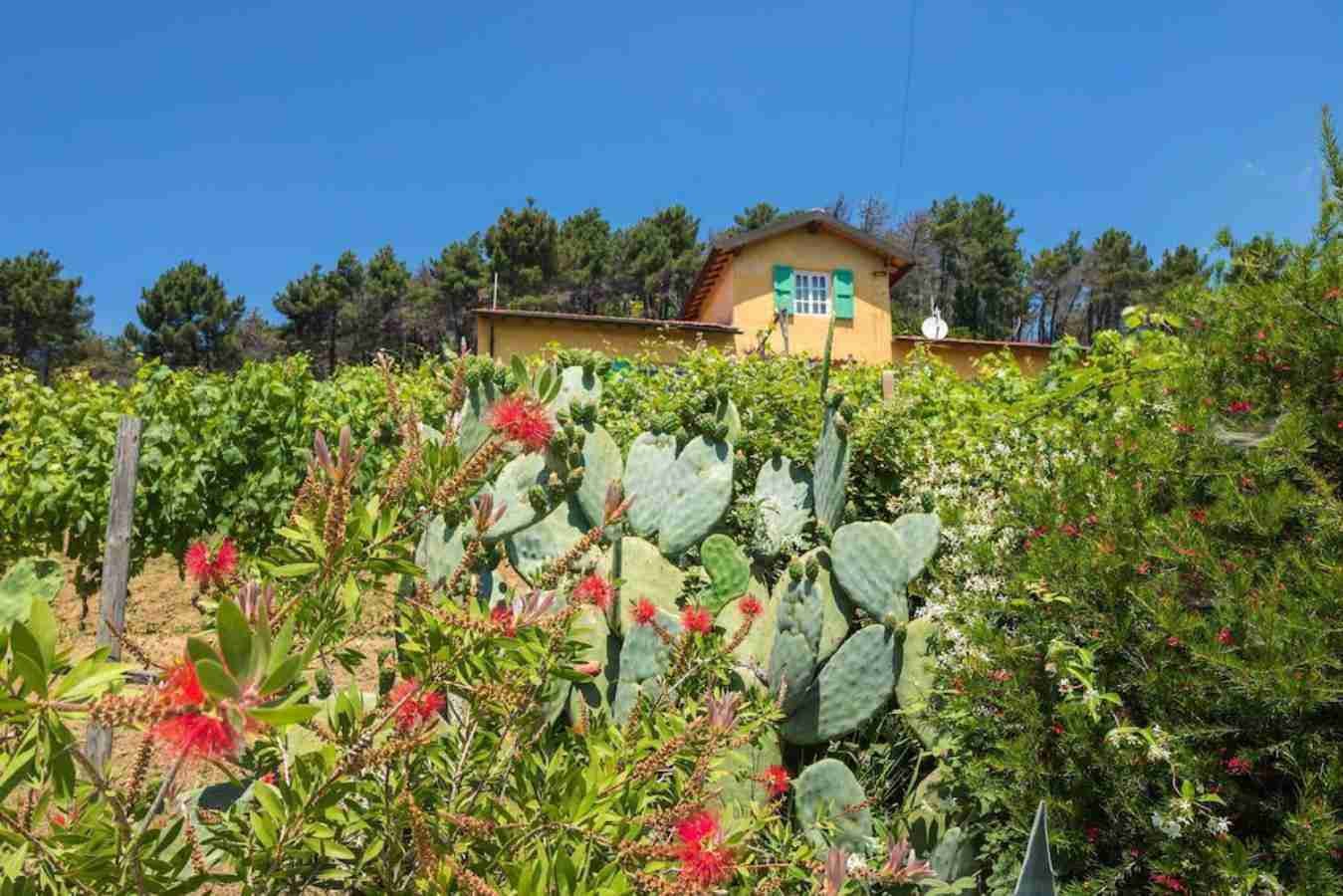 Ville in affitto versilia Villa Las Palmas ville con piscna corsanico ville con piscina versilia case in affitto estiate affitti brevi airbnb viareggio booking viareggio1 case affitto mare privati, case in affitto al mare, affitti estivi lido di camaiore, affitto estivo lido di camaiore, affitto estivo, casa affitto mare, case affitto mare, casa vacanza versilia, casa vacanze versilia, case vacanze versilia, case vacanza versilia, appartamenti lido di camaiore, casa in affitto vacanze, affitto vacanze, affitto stagionale, affitti lido di camaiore picadilly penthouse lido di camaiore, appartamenti lido di camaiore, case lido di camaiore, mare lido di camaiore, bagni lido di camaiore, stabilimenti balneari con piscina lido di camaiore, ville in collina, colline toscane, ville in toscana, casolari toscana, ville in affitto versilia, ville in collina versilia